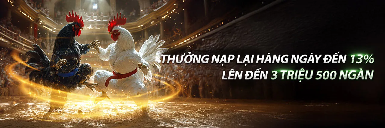 Đá Gà Trực Tuyến HM88 Nhà Cái